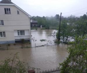 У Калуші річка вийшла з берегів та затопила двори і будинки (ФОТО)