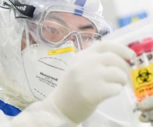 США дізналися нову інформацію про джерело коронавірусу – ЗМІ