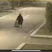 У Франківську розшукують жінку, яка крала саджанці в парку Шевченка (фото). Якщо хтось знає таку особу, просять повідомити
