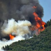 У Туреччині поблизу популярного курорту спалахнула лісова пожежа, є жертви. Відео