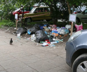 В центрі Івано-Франківська містяни влаштували смітник (ВІДЕО)