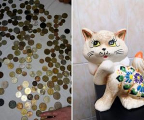 Лікарка зібрала майже 400 гривень монетами з дитячих шлунків: все у скарбничці