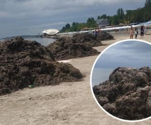 Страшенний сморід і купа водоростей: українці засмучені відпочинком на популярному курорті