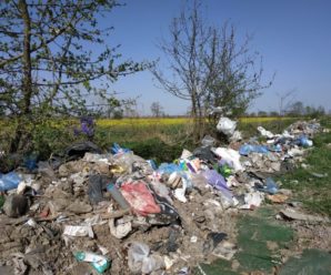 Франківці найменше платять за вивіз сміття в Україні
