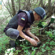 На Прикарпатті поблизу лісу знайшли артилерійський снаряд (ФОТО)