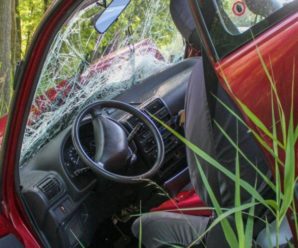 Українець у Польщі автівкою врізався в дерево, втік, а потім прийшов привітатись з поліцією