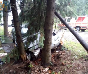 На Прикарпатті авто врізалось в дерево — подружжя з онукою в лікарні