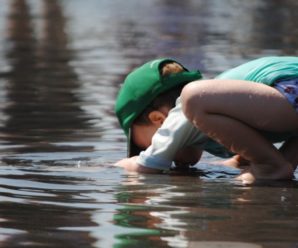 Грався на подвір’ї і кудись зник: 2-річний хлопчик втопився у ставку біля власного дому