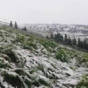 У липні на високогір’ї Карпат випав сніг: вражаюче відео