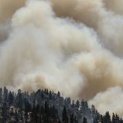 На півночі Іспанії масштабна пожежа знищила 400 га природного парку