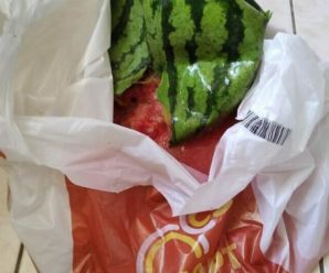 Здувся за ніч: відомий музикант придбав у франківському супермаркеті “наколотий” кавун (фото)