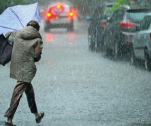 Сильний вітер та дощ: на Прикарпатті оголосили штормове попередження