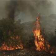 В Іспанії вирують потужні лісові пожежі: слідчі підозрюють підпал