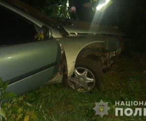 У ДТП на Львівщині яку спричинив п’яний водій, загинула 17-річна дівчина