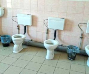 Жахливі умови у шкільних туалетах: хто винен і що робити – інструкція від омбудсмена