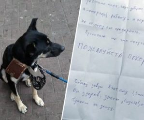 Перед входом в торговий центр знайшли собаку з запискою: що там написано