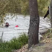 Правоохоронець з Івано-Франківська врятував дворічну дитину у столиці, яка тонула в озері (ФОТО)