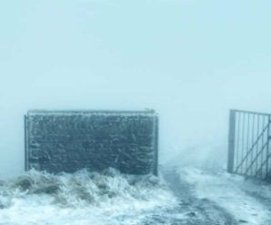 “Ворота у зиму відчинені”,- сьогодні у Карпатах випав сніг
