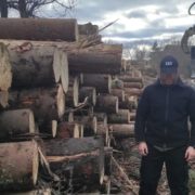 На Прикарпатті викрили бізнесмена, який незаконно рубав ліс і продавав за кордон: сума збитків 2 млн грн