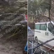 Україною пронісся потужний ураган – дерева ламалися, як сірники: фото та відео