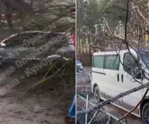 Україною пронісся потужний ураган – дерева ламалися, як сірники: фото та відео