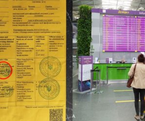 В аеропорту спіймали ще 10 власників підроблених сертифікатів