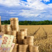 1500 гривень за гектар: власники земельних паїв платитимуть новий податок