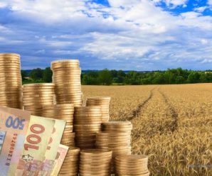 1500 гривень за гектар: власники земельних паїв платитимуть новий податок