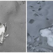 “У горлі першить”: на Прикарпатті помітили чорний сніг (фото)
