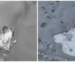“У горлі першить”: на Прикарпатті помітили чорний сніг (фото)