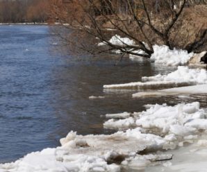 Синоптики попереджають про підняття води у річках на заході України: подекуди до 3 метрів