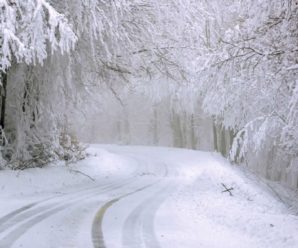 До України повертається сильний сніг та хуртовини: прогноз погоди на понеділок, 17 січня