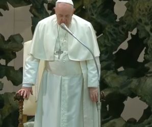 “Прошу вас, нехай ніколи не буде війни!”, – Папа Франциск разом з паломниками помолився за мир в Україні
