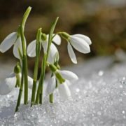 “Від морозу і до спеки”: синоптики попередили про вражаючі перепади температури впродовж березня
