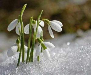 “Від морозу і до спеки”: синоптики попередили про вражаючі перепади температури впродовж березня