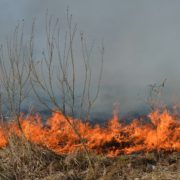 За добу через паліїв трави на Львівщині вигоріли 12 гектарів землі