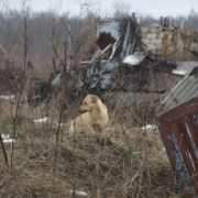 У Донецькій області окупанти накрили вогнем 7 населених пунктів: є загuблі та поранені