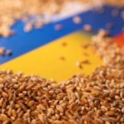 Туреччина купує зерно, яке росія вкрала в України
