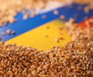Туреччина купує зерно, яке росія вкрала в України