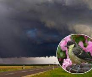 “Крижана злива вже завтра”: синоптики попередили, що в Україну суне погода, яка може викликати нездужання і розладu