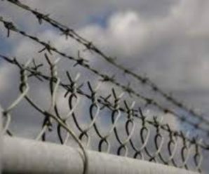 У в’язницях “ДНР” утримують понад 10 тисяч маріупольців