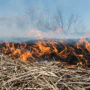 До 10 років в’язниці: в Україні посилять покарання за пожежі через підпал сухої трави
