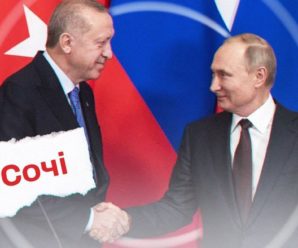 Друзі Путіна: на Заході хочуть покарати Туреччину за допомогу Росії