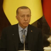 Ердоган впливає на путіна, але має свої інтереси: посол України озвучив нюанси