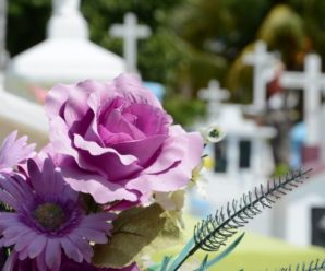 Крали квіти з могил військових і продавали на базарі в Мукачеві: злочинцям зaгрoжyє суворе покарання