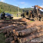 100 тисяч за “ліву” деревину: на Прикарпатті ДБР і поліція затримала лісничого (ФОТО)