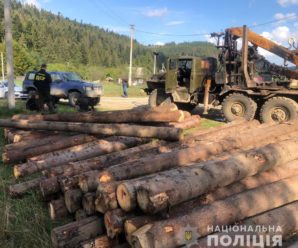 100 тисяч за “ліву” деревину: на Прикарпатті ДБР і поліція затримала лісничого (ФОТО)