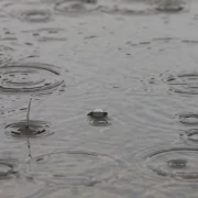 Пів України накриють дощі: прогноз погоди на п’ятницю, 9 вересня