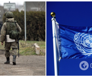 ООН прирівнює Україну до нападника й тисне на Київ, – Лубінець