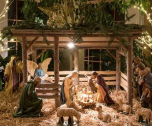 Звільняються від обмежень посту: ПЦУ ухвалила рішення про нову дату святкування Різдва Христового